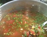 A picture of step 16 of 100 calorie Mexican Braised Beef Soup.