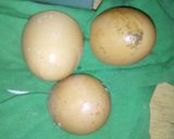 Foto del paso 1 de la receta: Buñuelitos para un día lluvioso