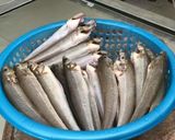 Hình bước làm 1 của món Cá bống biển kho tiêu