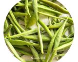 عکس مرحله 6 از دستور چای سفید : از غنچه برگ تا دمنوش ، تجربه‌ی فرآوری یک دمنوش