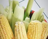Foto langkah ke 2 dari resep Lepat Jagung Manis.