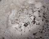 Foto del paso 4 de la receta: Leche Asada