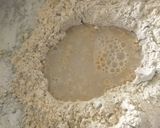A picture of step 1 of Jowar Bajari Ragi bhakri.