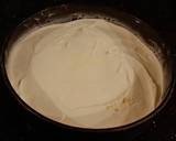 Vanilla / Peanut Butter Ice Cream Cake with a Crispy Crust and Whipped Cream Topping With Creamy Crispy Chicolate Bark recipe step 9 photo