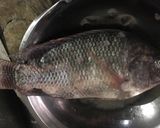 รูปขั้นตอนการทำที่ 1 ของ ปลานิลทอดกระเทียมพริกไทย