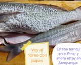 Foto del paso 1 de la receta: Merluza al natural con papas al horno