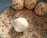 Foto langkah ke 3 dari resep 701. Onde-onde Isi Kumbu Ubi Ungu.