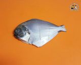 Hình bước làm 1 của món Cá Chim Trắng Hấp Tưới Dầu Hào 병어 굴소스 찜