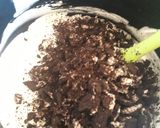 Foto del paso 5 de la receta: Helado de Oreo fácil