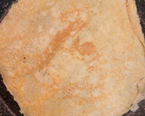 Foto del paso 5 de la receta: Crepes de avena y plátano con Nutella