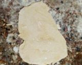 Foto del paso 3 de la receta: Tortas fritas!!