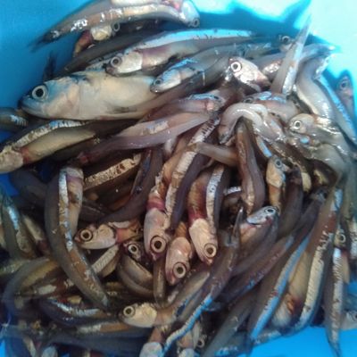 Langkah 1