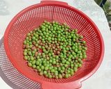 عکس مرحله 1 از دستور گرد غوره