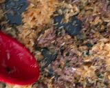 A picture of step 2 of Oriental rice.