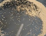 A picture of step 6 of Amaranth or Rajgira Halwa.