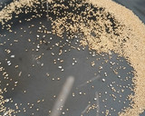 A picture of step 6 of Amaranth or Rajgira Halwa.