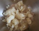 A picture of step 3 of Oats tikki.