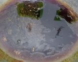 Foto langkah ke 1 dari resep Bolu "KARAMEL KUKUS" simpel.