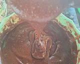 Foto del paso 2 de la receta: Bizcochuelo de chocolate integral