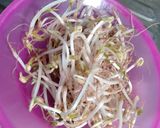 Foto langkah ke 2 dari resep Tumis labu Siam+toge.