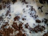 રાગી નો શીરો(Ragi Shira Recipe In Gujarati,)
