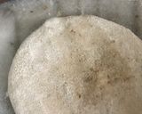 A picture of step 5 of Besan and Pyaz paratha.
