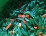 Foto langkah ke 3 dari resep Sayur lodeh.