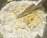 A picture of step 5 of Pineapple Cakes.