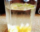 A picture of step 3 of Pineapple Water.