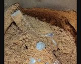A picture of step 3 of Straw mushroom pickle.