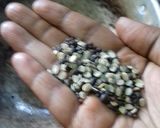 சேனைக்கிழங்கு மசியல்(senaikilangu masiyal recipe in tamil) ரெசிபி ஸ்டேப் 1 புகைப்படம்