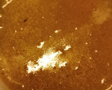 Foto del paso 8 de la receta: Sopa crema de zapallo cabutia