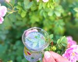 عکس مرحله 1 از دستور 🌸شربت نعناع🌸
