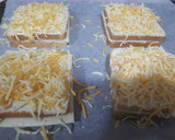 Foto del paso 3 de la receta: Croque Monsieur