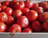 Une image de l'étape 1 de Sauce de tomates aux herbes de Provence.