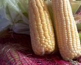 Foto langkah ke 1 dari resep Jagung serut.