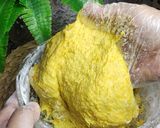 Foto langkah ke 3 dari resep Bola Labu kuning isi coklat.