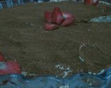 Foto langkah ke 4 dari resep Tiramisu Mudah tetep no ribet n eggless...