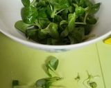 Salat aus Möhre Frühlingszwiebel und Feldsalat Rezeptschritt 3 Foto
