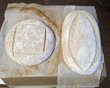 Foto del paso 6 de la receta: Pan de Espelta 100% integral con Masa Madre