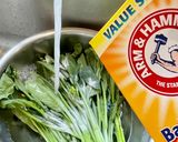 A picture of step 1 of Sautéed Yu Choy (aka Choy Sum).
