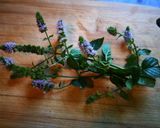 Foto del paso 2 de la receta Mermelada de higos amarillos a la menta