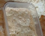 Foto del paso 2 de la receta: Pan dulce navideño