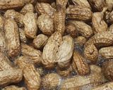 Foto langkah ke 3 dari resep Kacang Tanah Rebus.