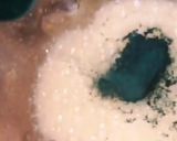 Une image de l'étape 4 de Jus agrumes 🍊🍋🥝spiruline🥬.