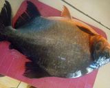 Foto langkah ke 1 dari resep Ikan bawal crispy saus tiram.