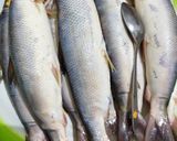 Foto langkah ke 9 dari resep Otak-otak bandeng kelapa tanpa duri.