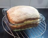 A picture of step 7 of Homemade Whole wheat Bread.