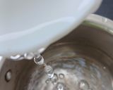 A picture of step 10 of Basant special Rasmalai.