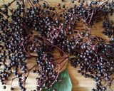 A picture of step 1 of Elderberry Jam.